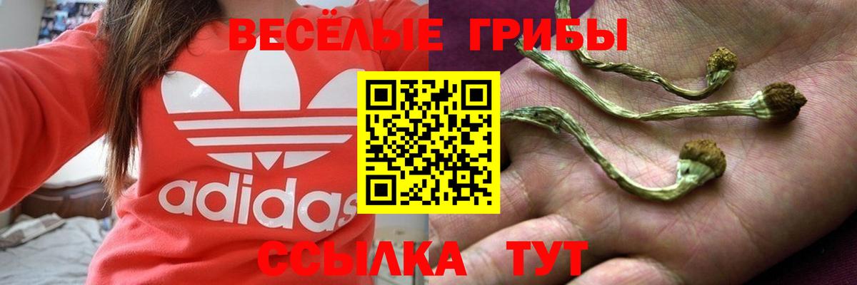 Иваново  Галлюциногенные грибы Psilocybe  Вход с VPN  Псилоцибиновые грибы MAGIC MUSHROOMS 